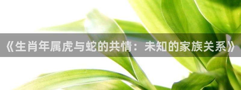 威廉希尔(williamhill)注册网页版：《生肖年属虎与蛇的共情：未知的家族关系》