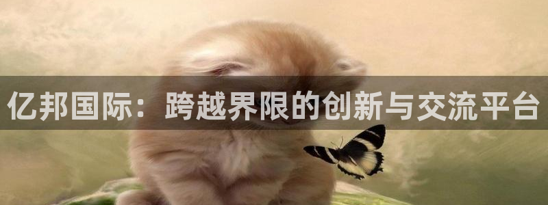 壹号app官网：亿邦国际：跨越界限的创新与交流平台