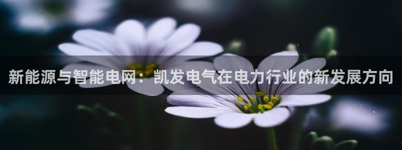 威廉希尔(williamhill)app下载地址：新能源与智能电网：凯发电气在电力行业的新发展方向