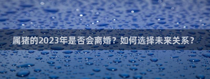 威廉希尔(williamhill)苹果手机下载链接：属猪的2023年是否会离婚？如何选择未来关系？
