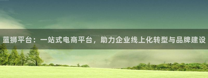 威廉希尔(williamhill)分红代理计划：蓝狮平台：一站式电商平台，助力企业线上化转型与品牌建设