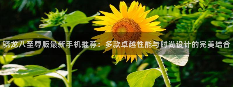 威廉希尔(williamhill)注册登录入口：骁龙八至尊版最新手机推荐：多款卓越性能与时尚设计的完美结合