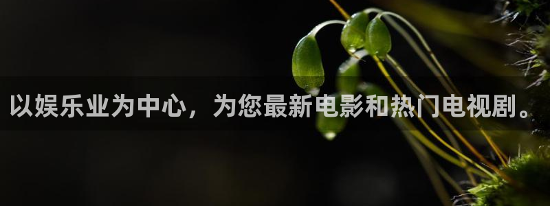 壹号电子娱乐app下载安装最新版本：以娱乐业为中心，为您最新电影和热门电视剧。