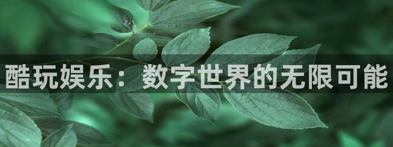 威廉希尔(williamhill)游戏官网版：酷玩娱乐：数字世界的无限可能